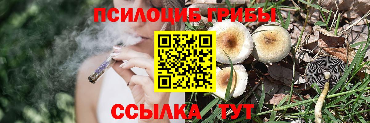 Воткинск  Галлюциногенные грибы ЛСД  Вход с VPN 