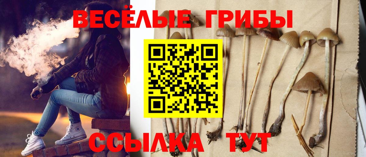 Псилоцибиновые грибы мухоморы Воткинск